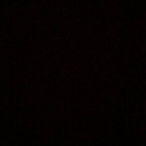 Meet your Posher, Elsie